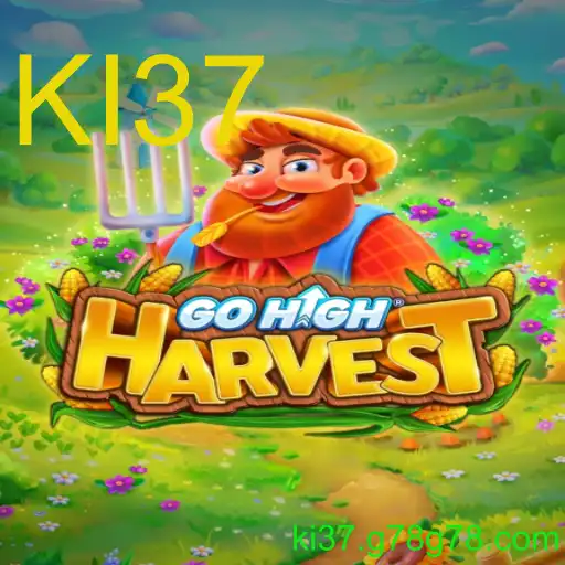 Descobrindo o Mundo Maravilhoso de GoHighHarvest